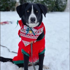 Meet your Posher, Dena